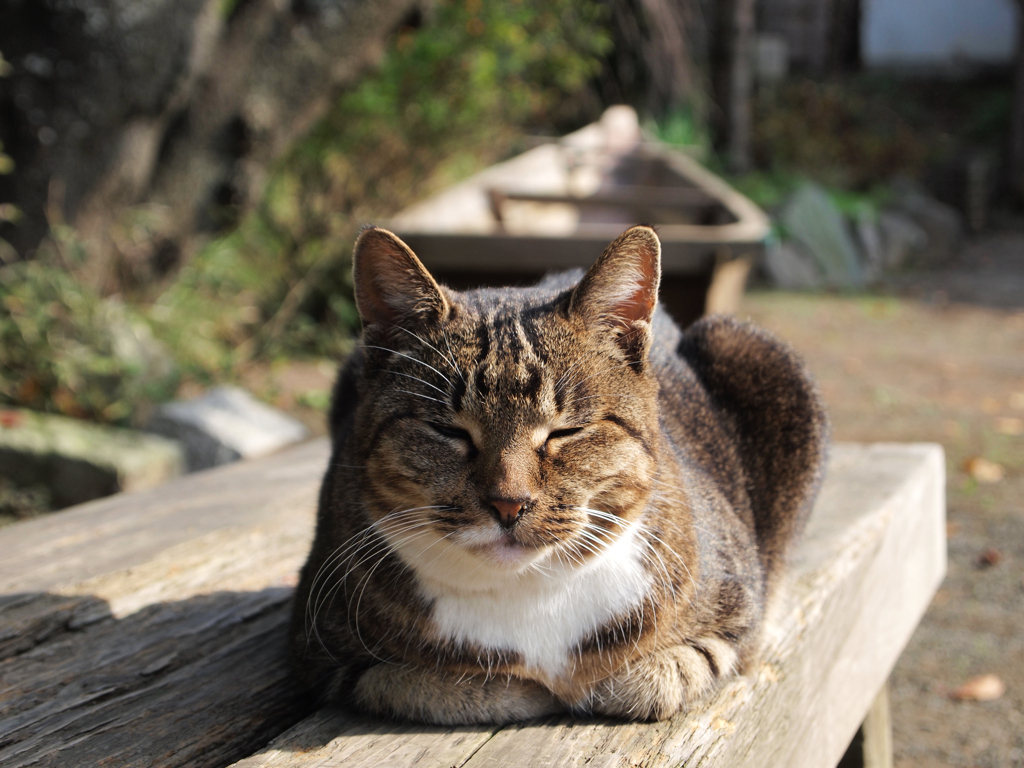 ニンマリ