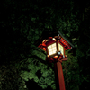 夜灯