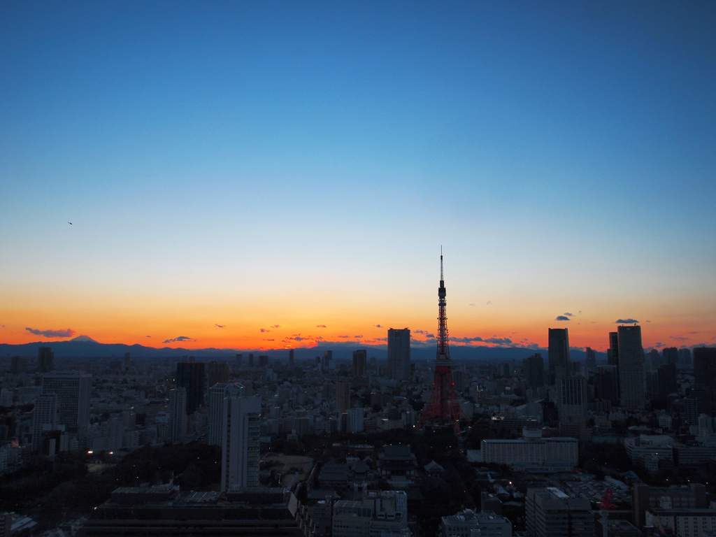 東京カラー