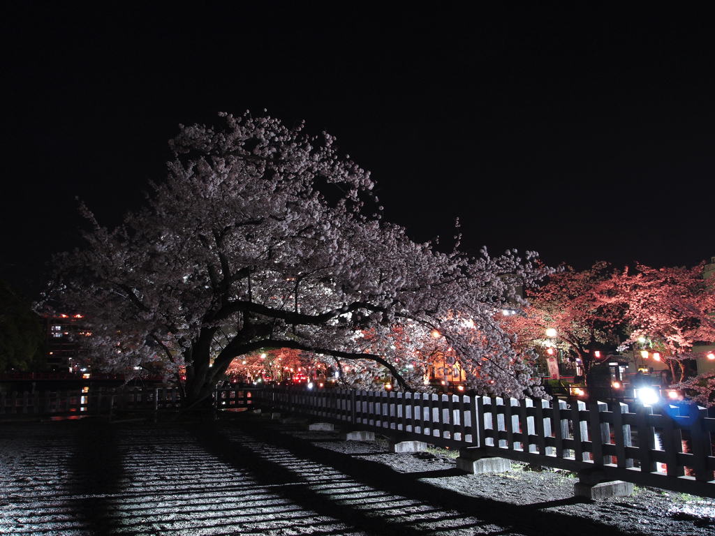 春夜の影