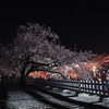 春夜の影