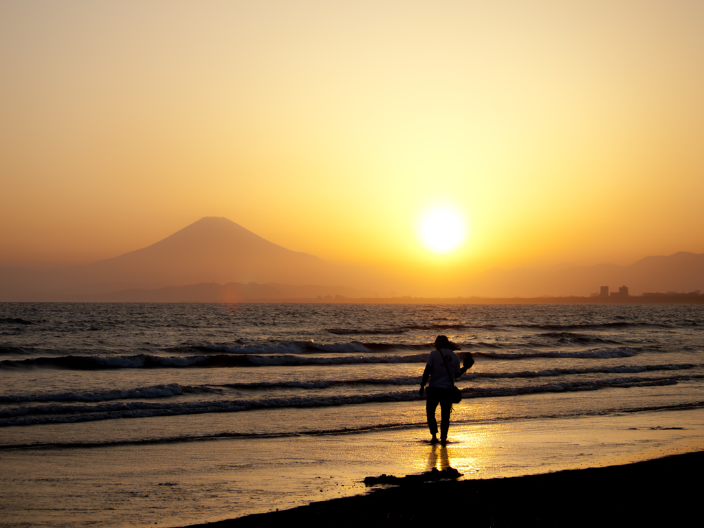 夕日に臨む