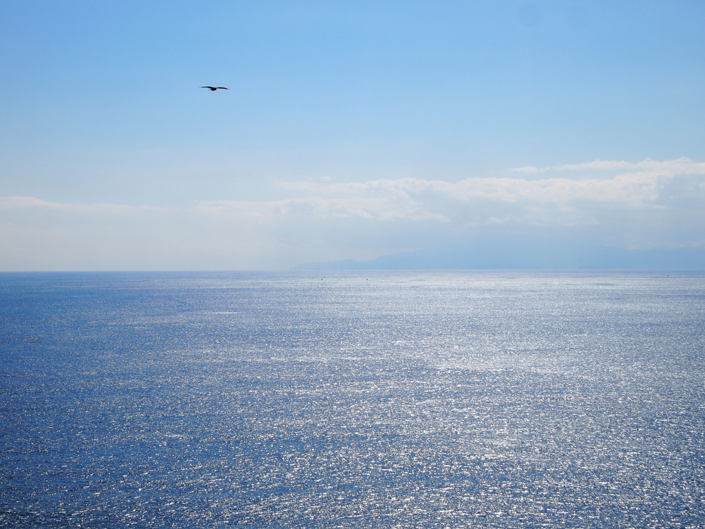 大海原を翔ける