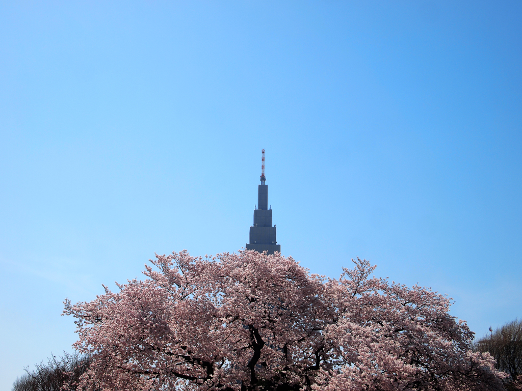 桜タワー