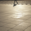 shadow