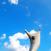 青空にバンサイ