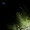 月夜の風