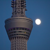 スカイツリーから見る月