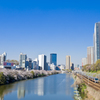 桜の川を望む