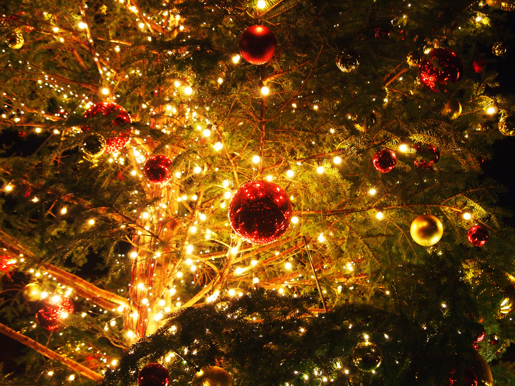 クリスマスライト