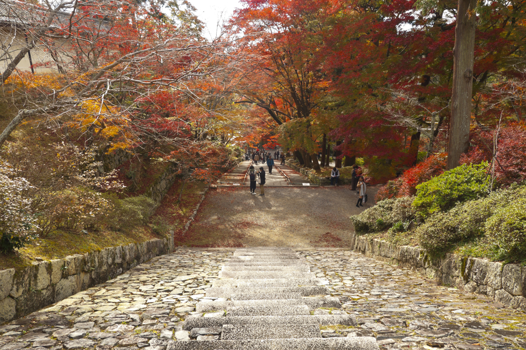 紅葉日和
