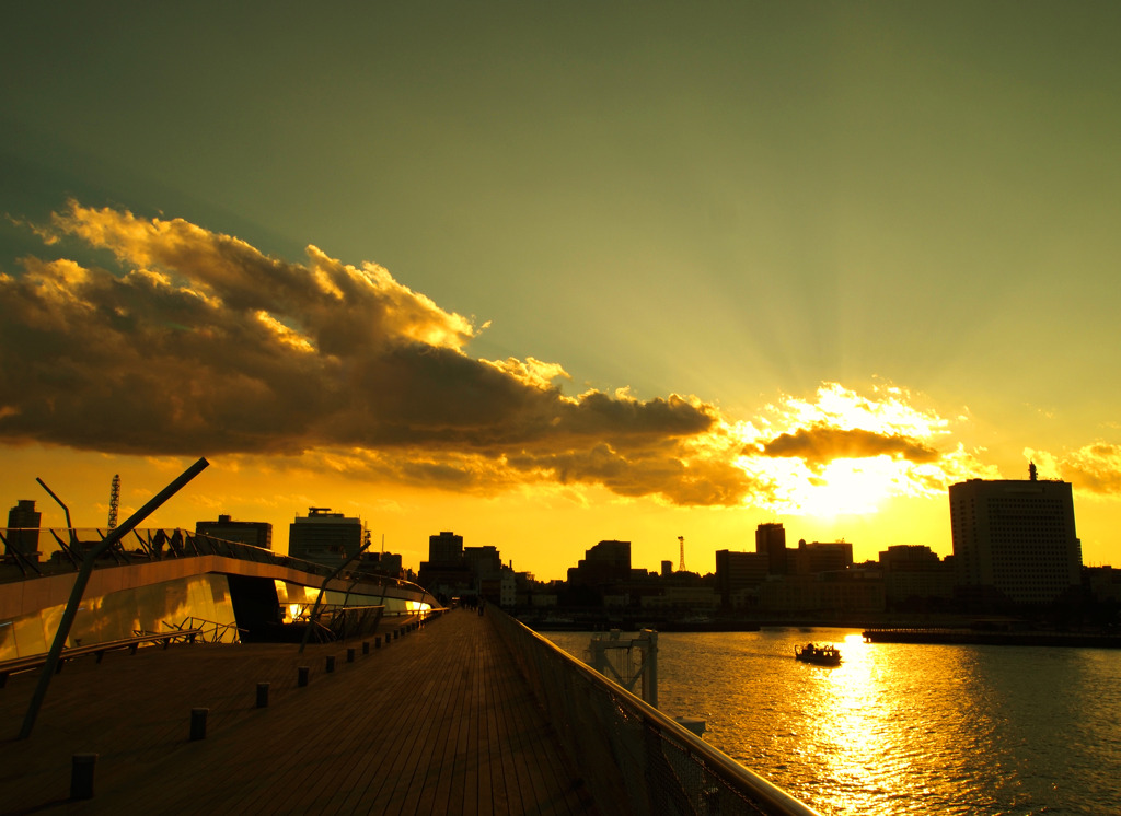背中の上から見る夕日
