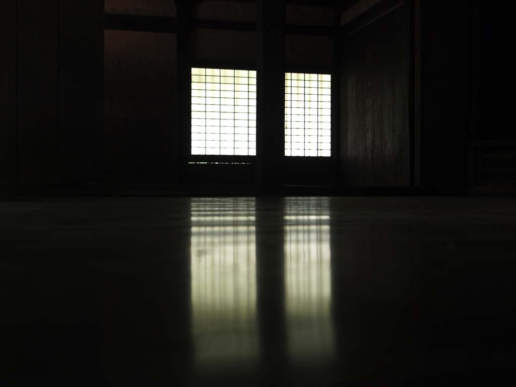 遮光