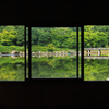 窓から見る庭園