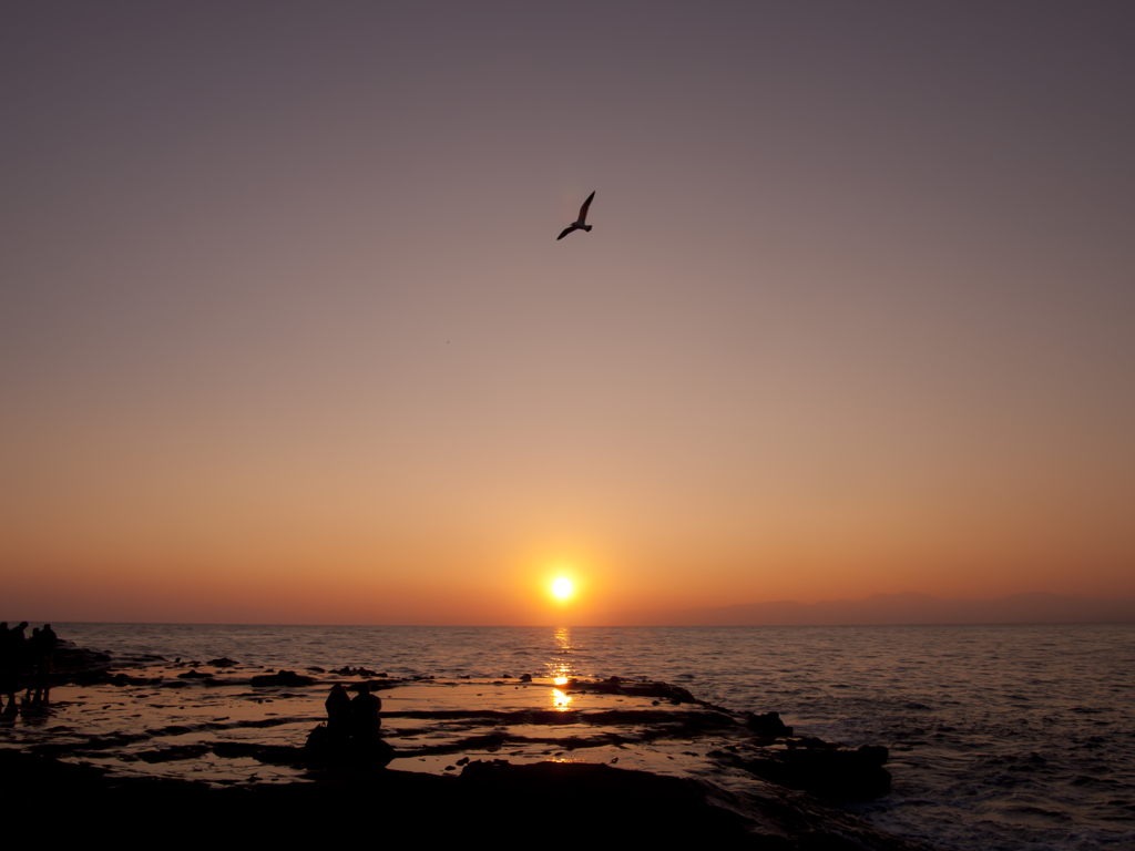 夕暮れを飛ぶ