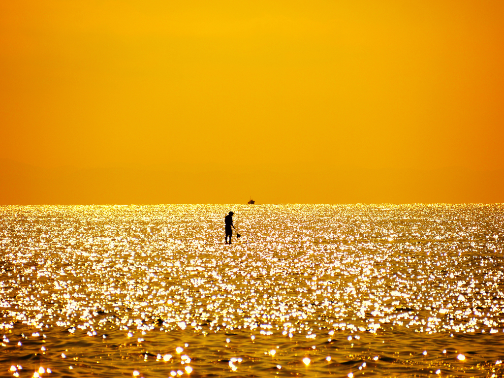 黄金の海へ