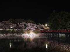 夜に散る