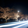 moonlight