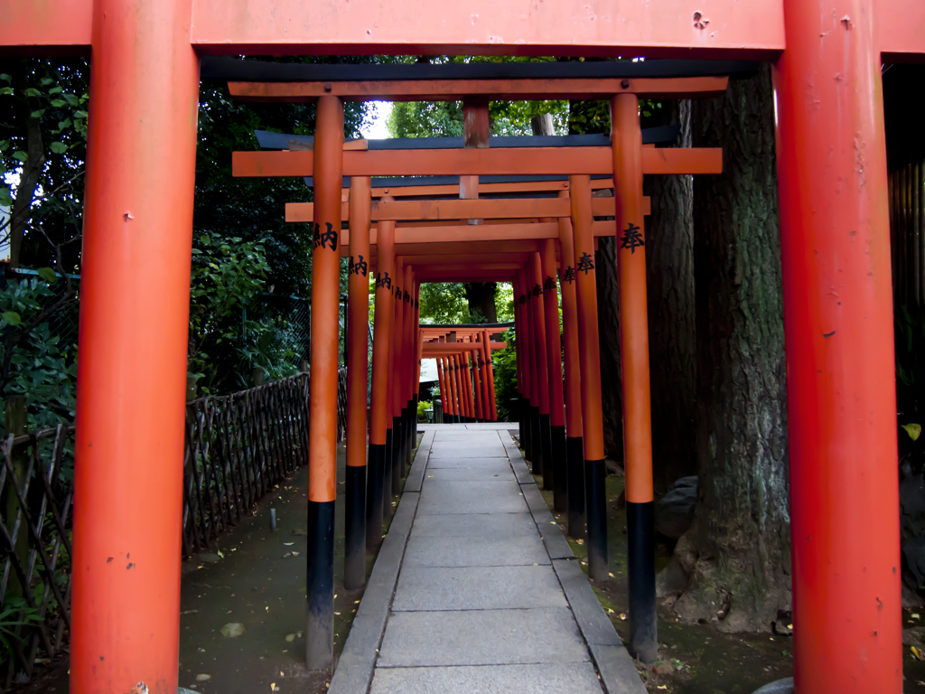 導き