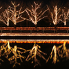 reflection