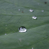 梅雨の足跡