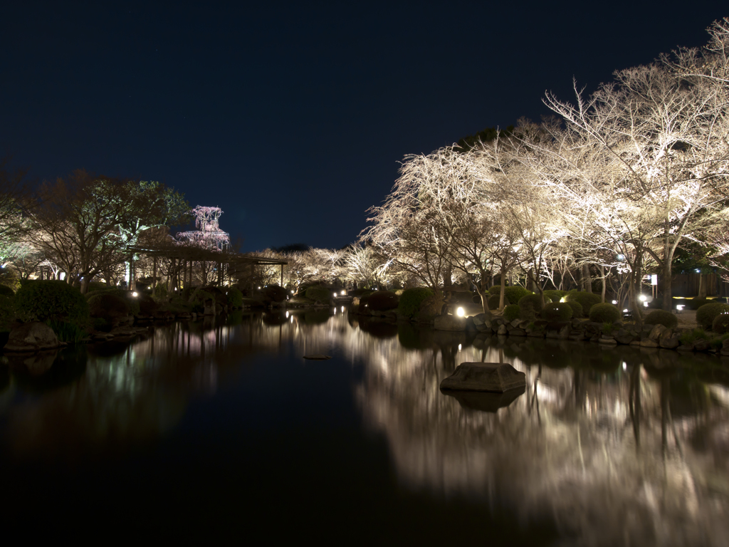 水面の美