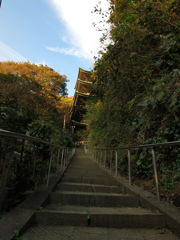 五重塔へ続く階段