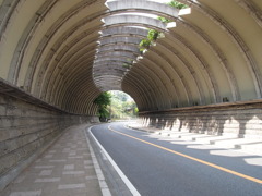 ダンゴムシ