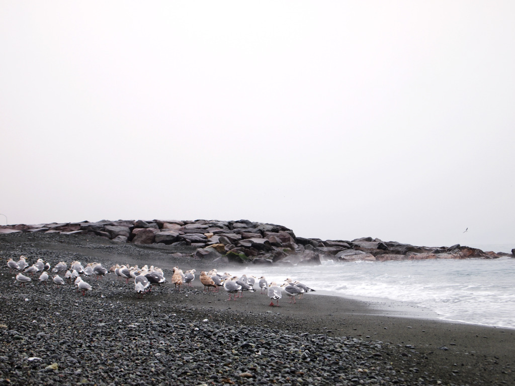 雨の海水浴
