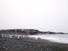 雨の海水浴