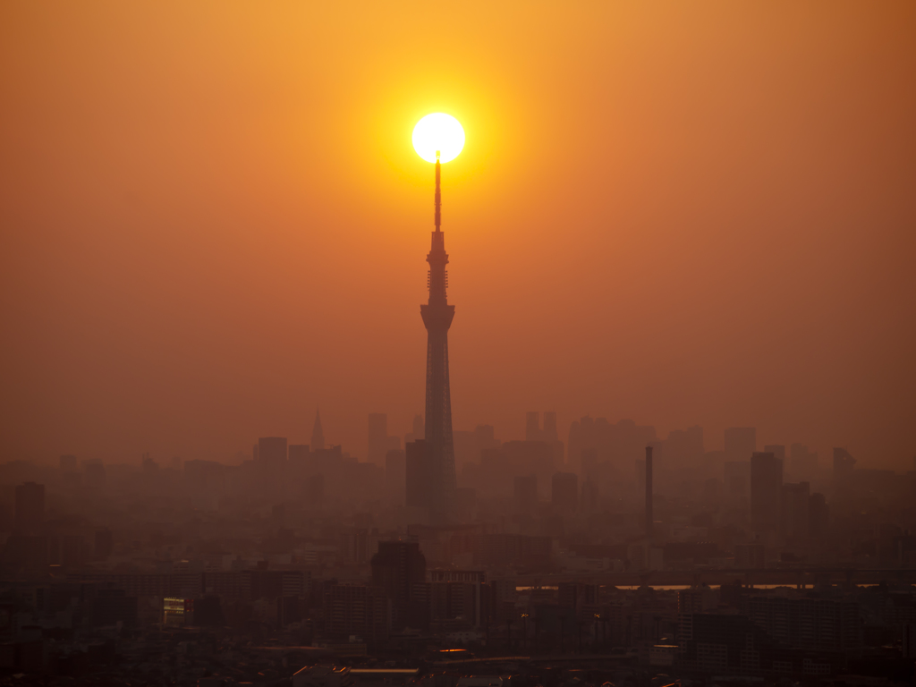 夕日に届け