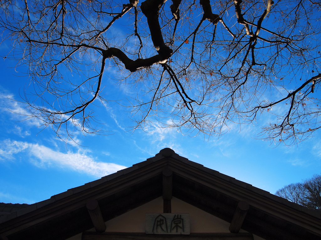 冬の青空