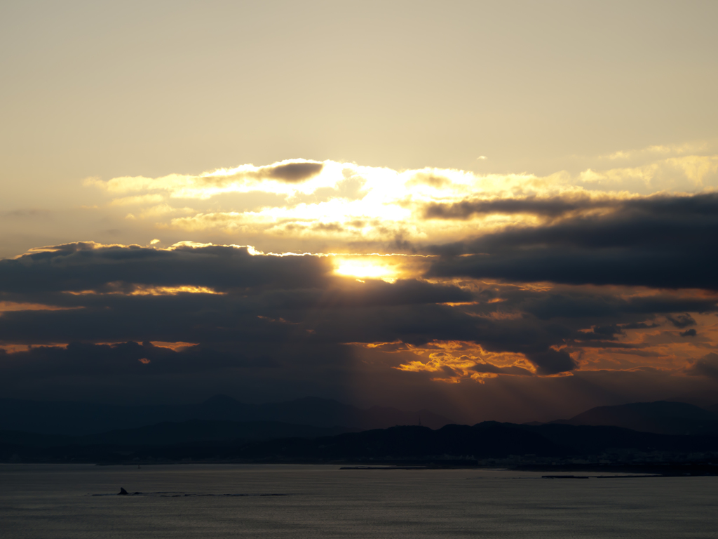 溢れる夕日