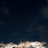 春夜