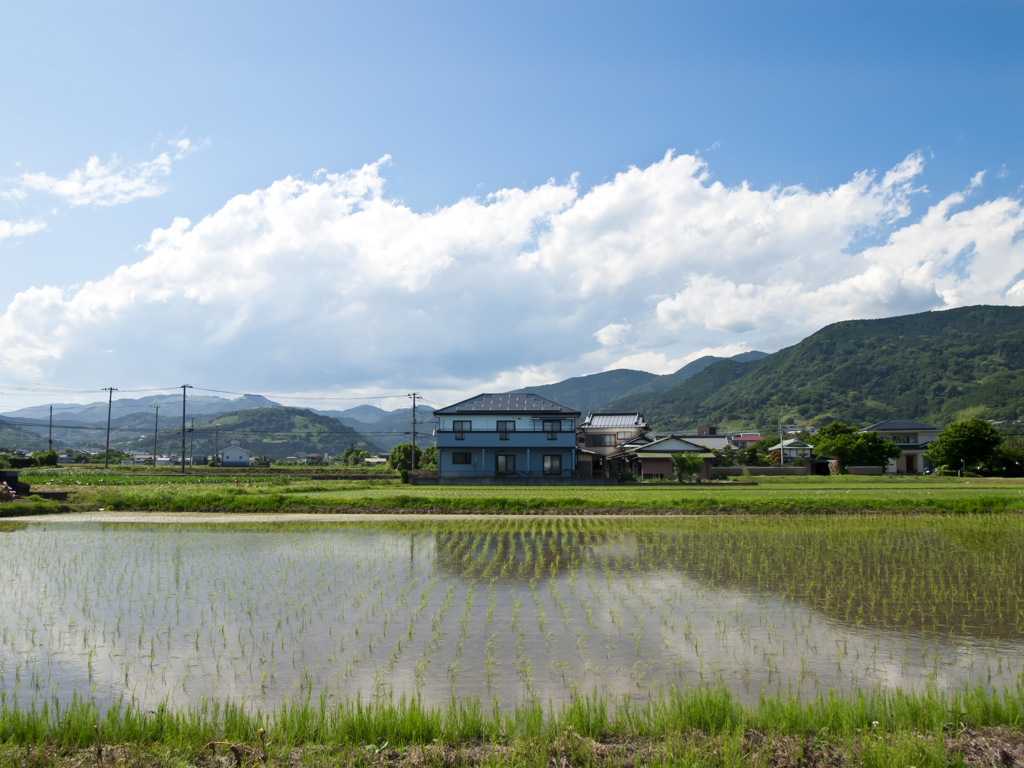 ある田園風景