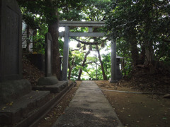 鳥居の向こうへ