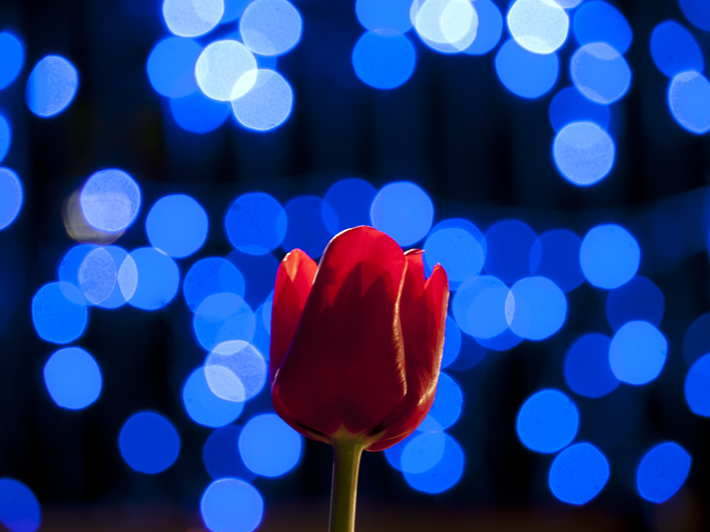blue light