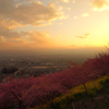 春の夕暮れ