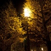 yellow light