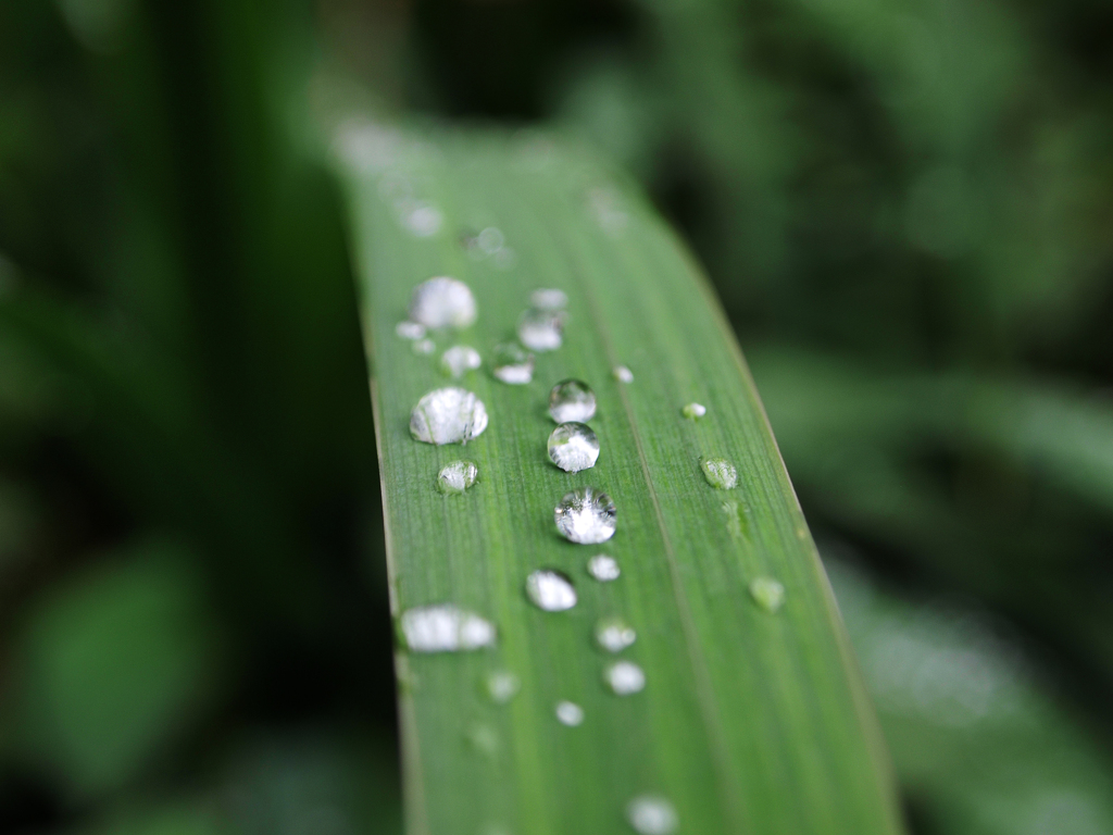 雨上がりのすべり台