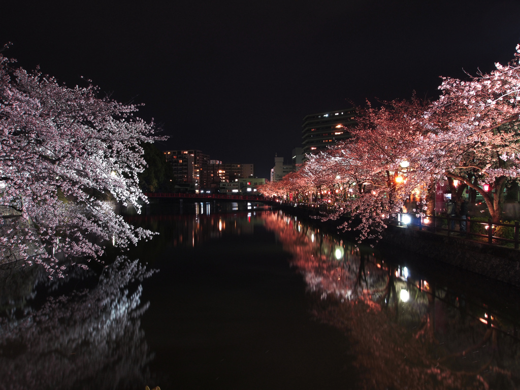 夜の彩り