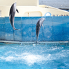 splash!