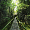 沈黙の参道