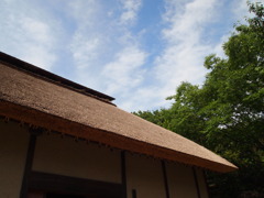 屋根の温もり