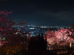 春の夜景