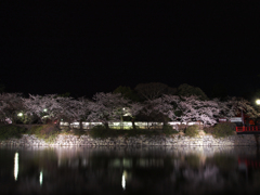 静かな春夜