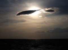 空翔けるクジラ