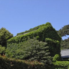 蔵