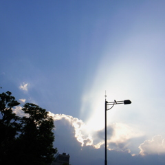 against the light