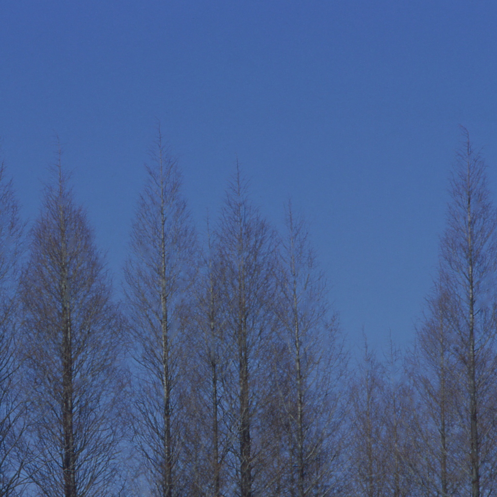 木立